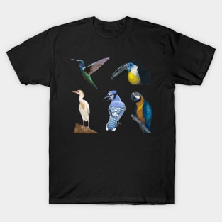 Five Bird Detailed Illustration Pack T-Shirt